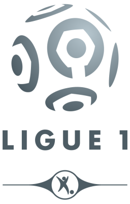 Championnat de France de football de Ligue 1 2008-2009