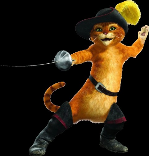 Chat Potté