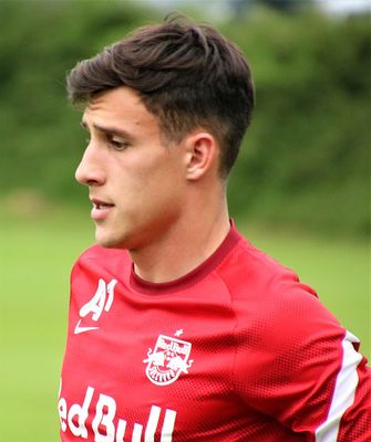 Nicolás Capaldo