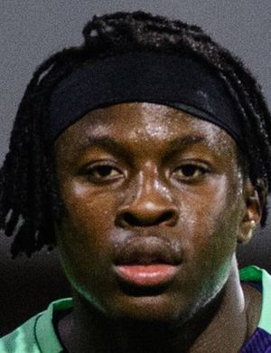 Johan Bakayoko