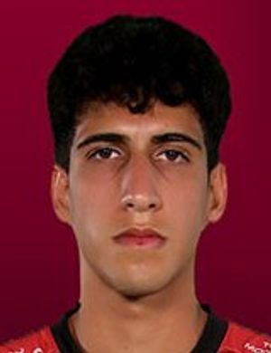 Mehmet Albayrak