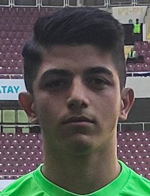 Sahin Dik