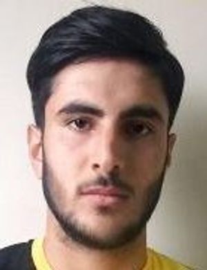 Mehmet Yesil