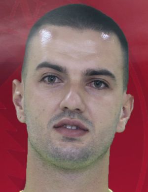 Anil Demir