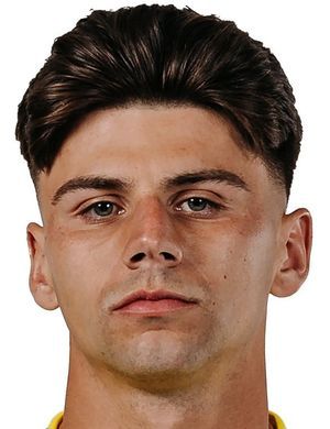 Max Arfsten