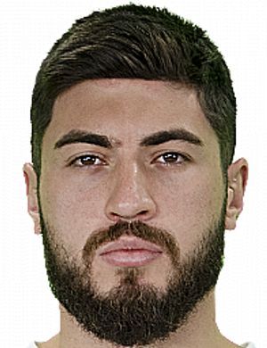 Giorgi Papunashvili