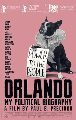 Orlando, ma biograhie politique