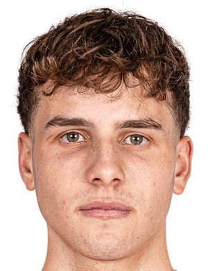 Bram van Driel