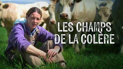 Les champs de la colère