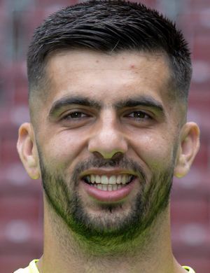 Nediljko Labrović