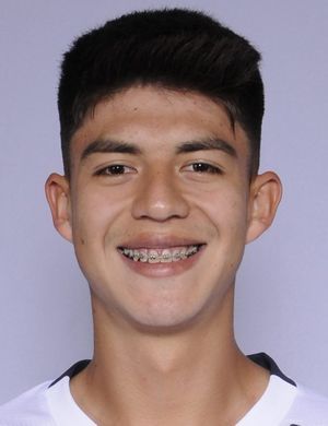 Gabriel Villamíl