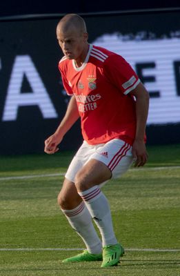 João Tomé