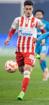 Nikola Mituljikić