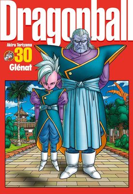 Dragon Ball - Perfect Edition - Tome 30