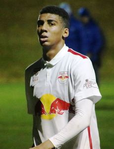 Bernardo