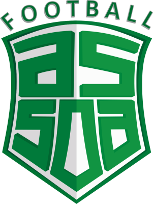 AS Saint-Ouen-lʼAumône