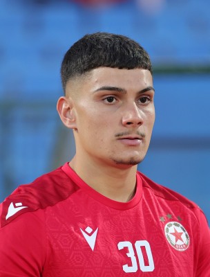 Petko Panayotov