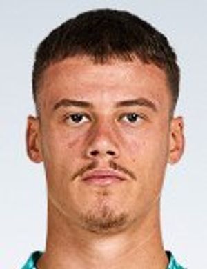 Mile Svilar