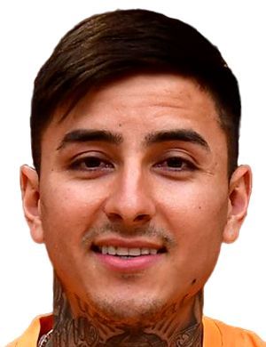 Erick Pulgar