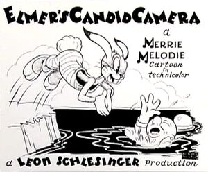 Elmer, apprenti photographe