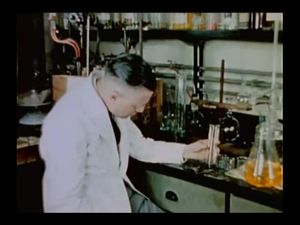 The Tree in a Test Tube