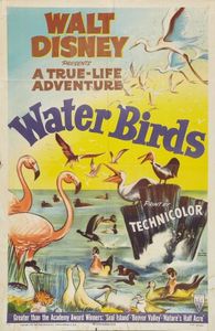 Les Oiseaux aquatiques