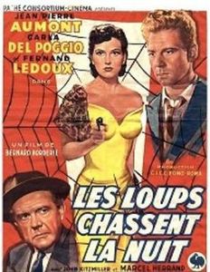 Les loups chassent la nuit