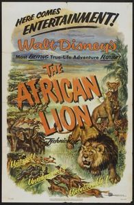 Lions dʼAfrique