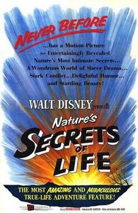 Les Secrets de la vie
