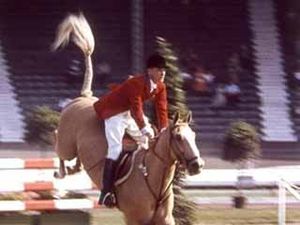 The Horse with the Flying Tail