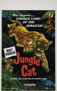 Le Jaguar, seigneur de lʼAmazone
