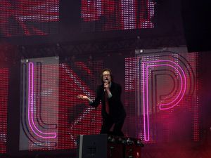 Pulp