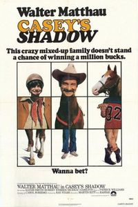 Caseyʼs Shadow
