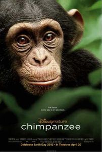 Chimpanzés