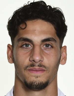 Ludovit Reis