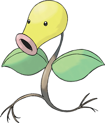 Chétiflor