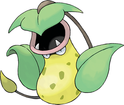 Empiflor
