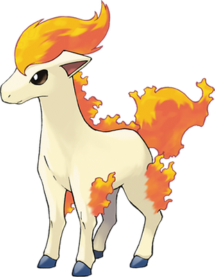 Ponyta
