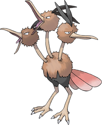 Dodrio